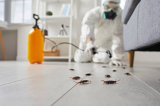 Trusted Rodent Control service in Richwood, NJ - Nex Pest Control